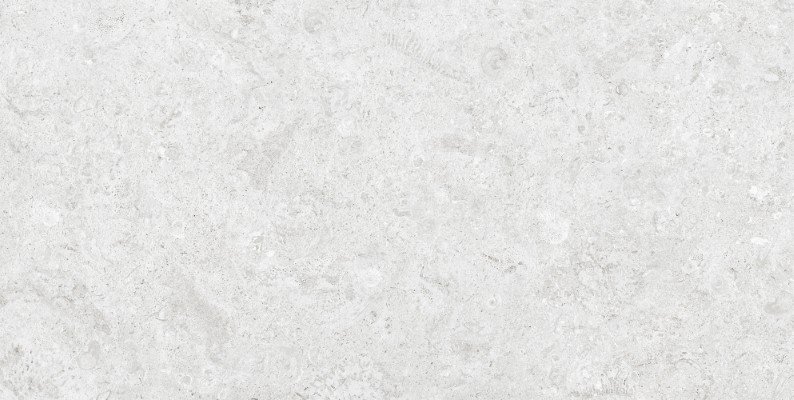 Banzi-Blanca-Pura-24x48-02